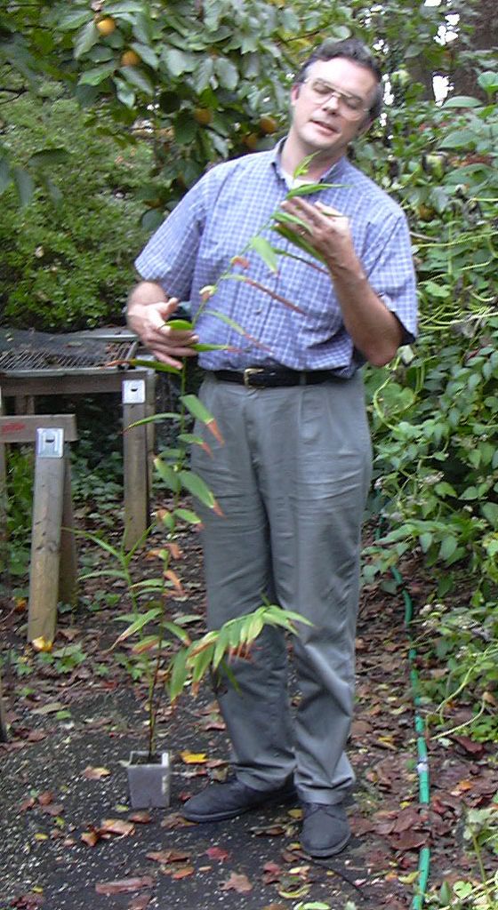 Clark with Selenipedium