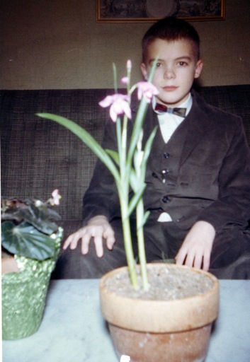 Bletilla, Berea, Ohio 1962