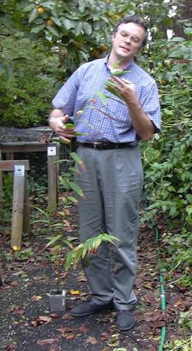 Clark with Selenipedium